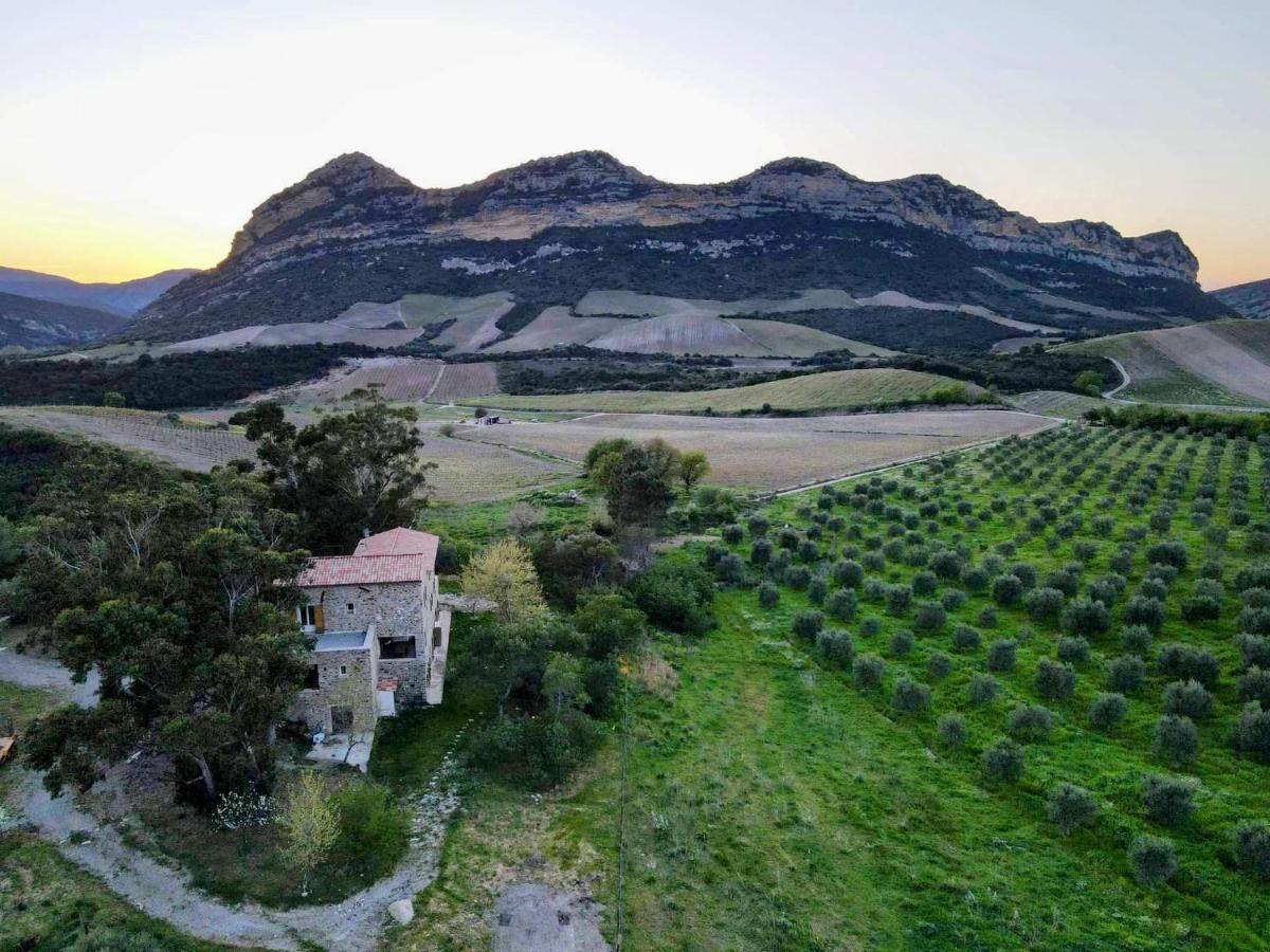 Mulinu Biancu Hotel Poggio-d'Oletta Buitenkant foto