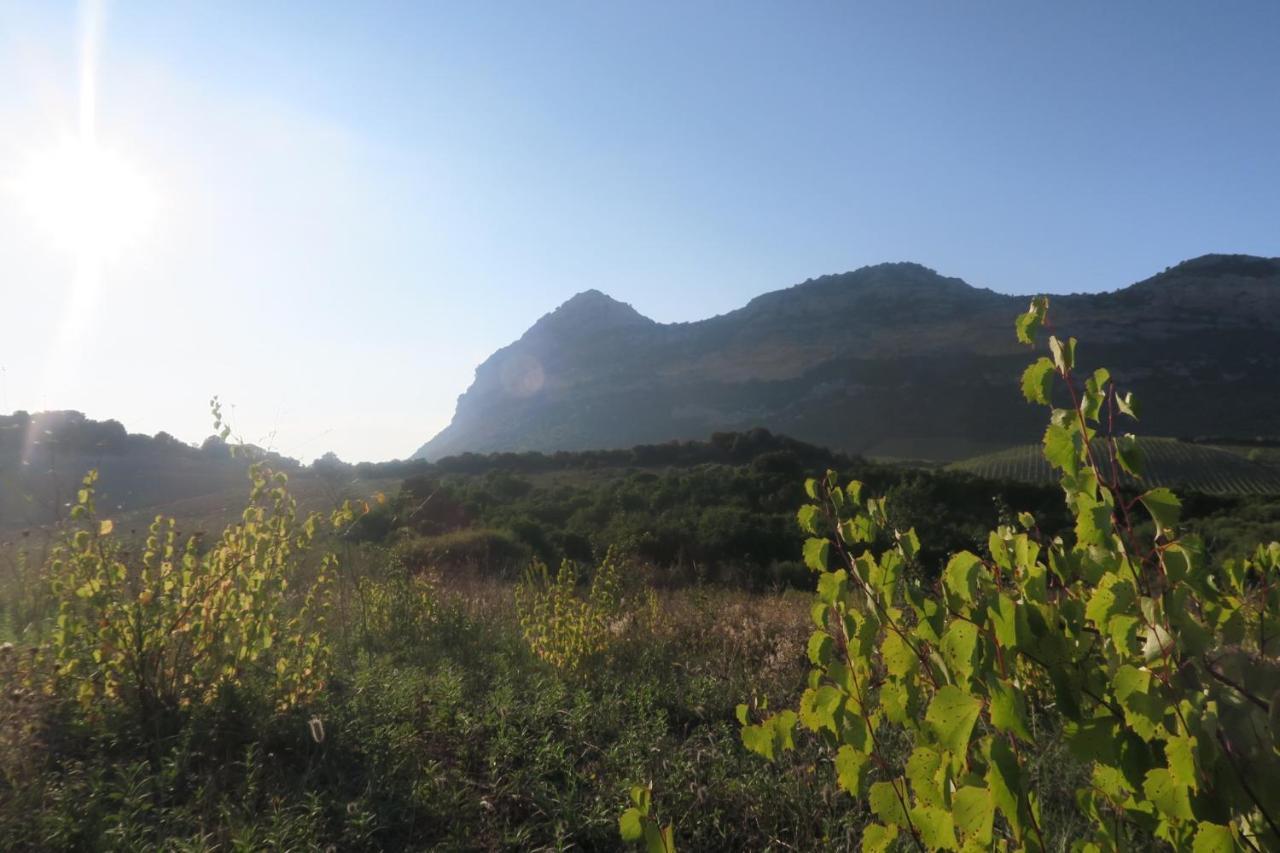 Mulinu Biancu Hotel Poggio-d'Oletta Buitenkant foto